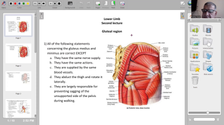 MCQ on anatomy of muscuskeletal system 2nd lecture.mp4