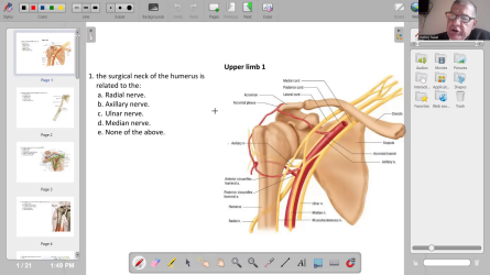 MCQ on anatomy of upper limb part two.mp4