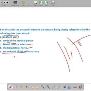 M.C.Q on clinical Anatomy for medical students