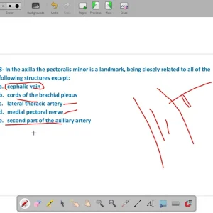M.C.Q on Anatomy of Musculoskeletal system first lecture